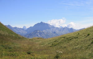 6909ce66751e5_IMG7335.JPG